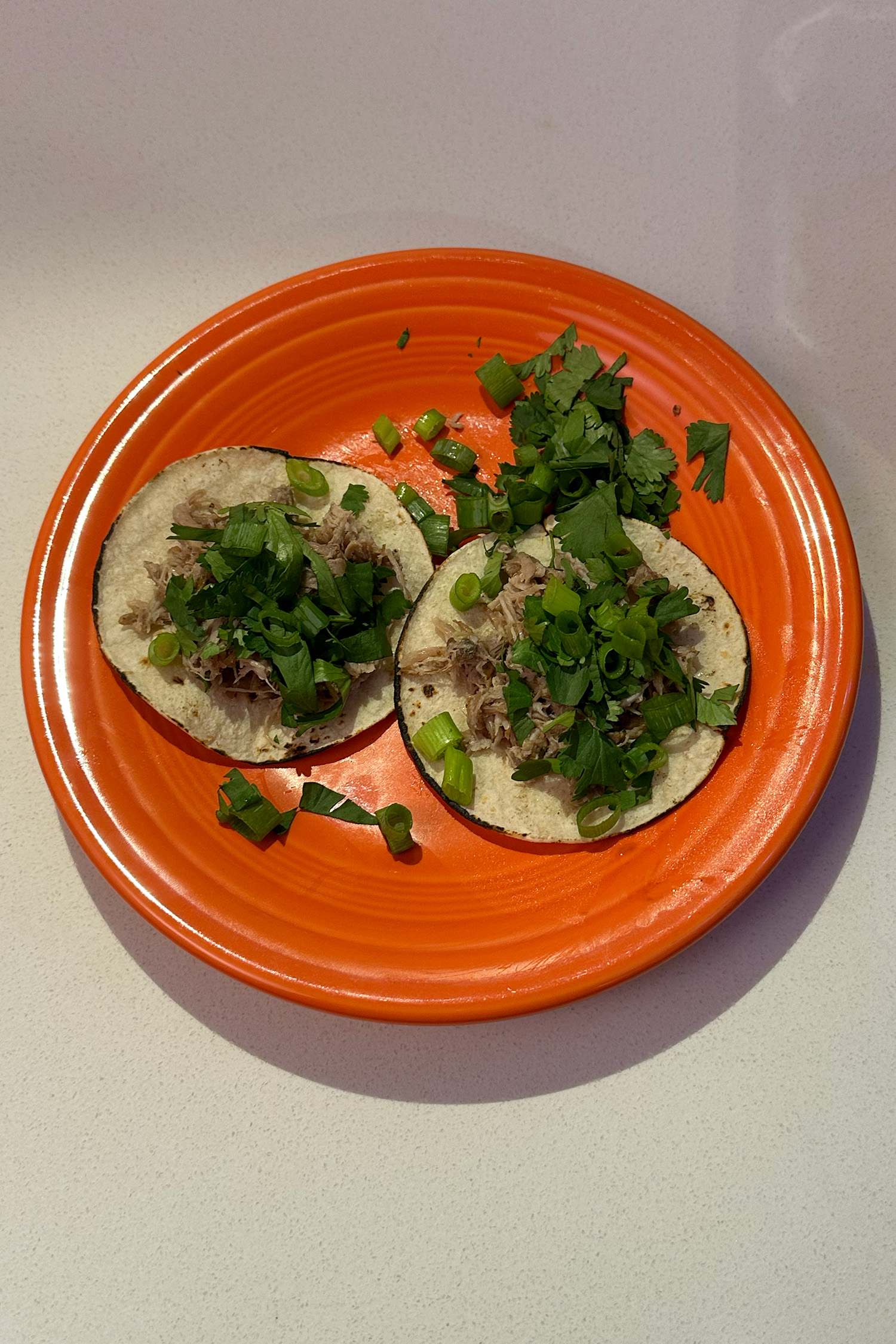 carnitas ~ nightshade-free
